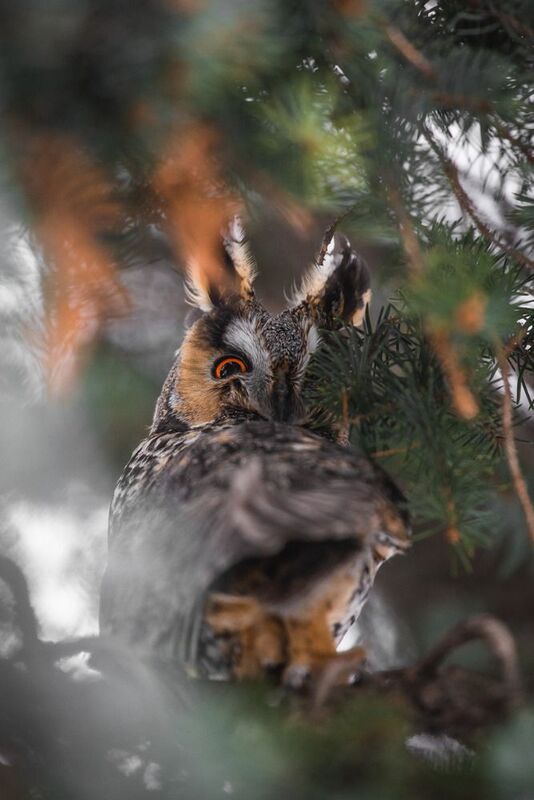 Слежу за тобой фото превью