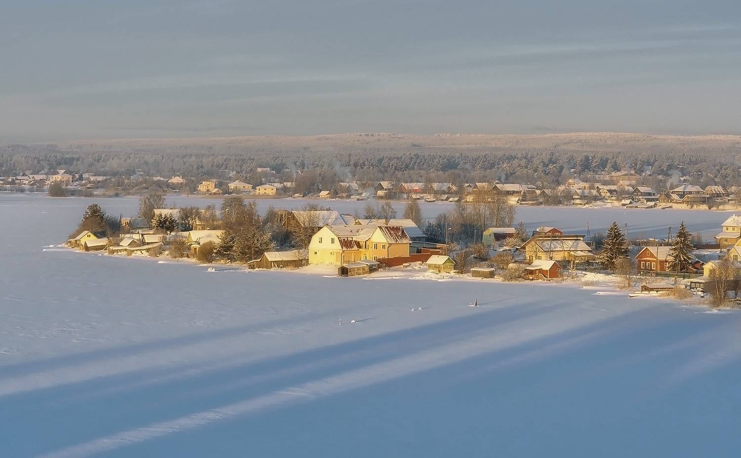 , Панова Зоя