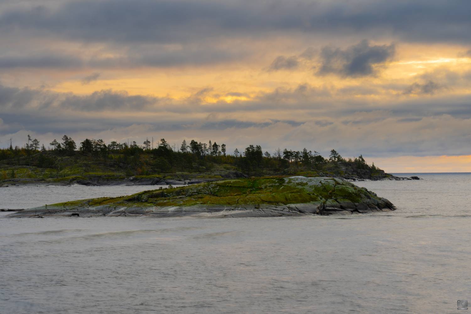 ладога, Дмитрий Ковалев