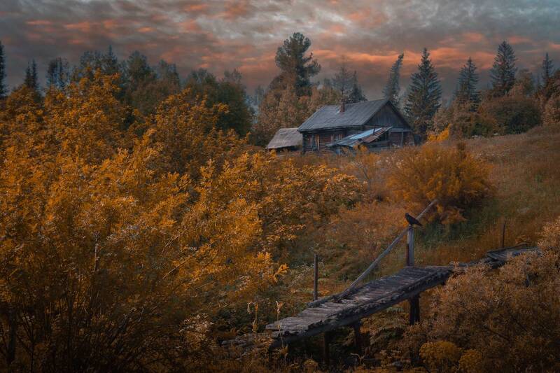 The Cabin фото превью