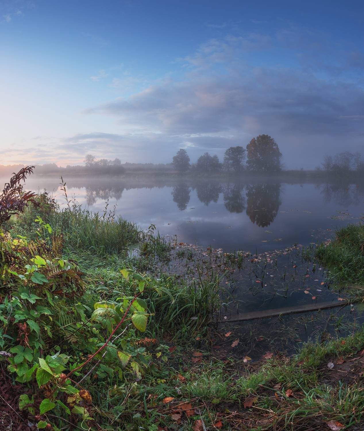 , Андреев Николай