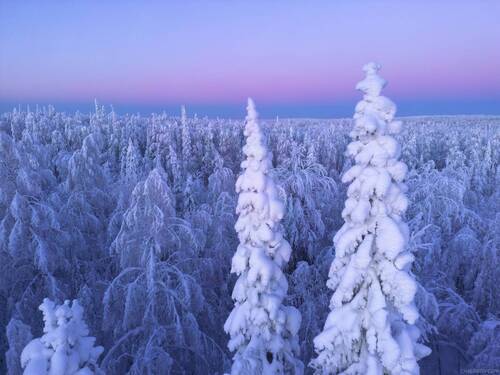 За мгновение перед рассветом