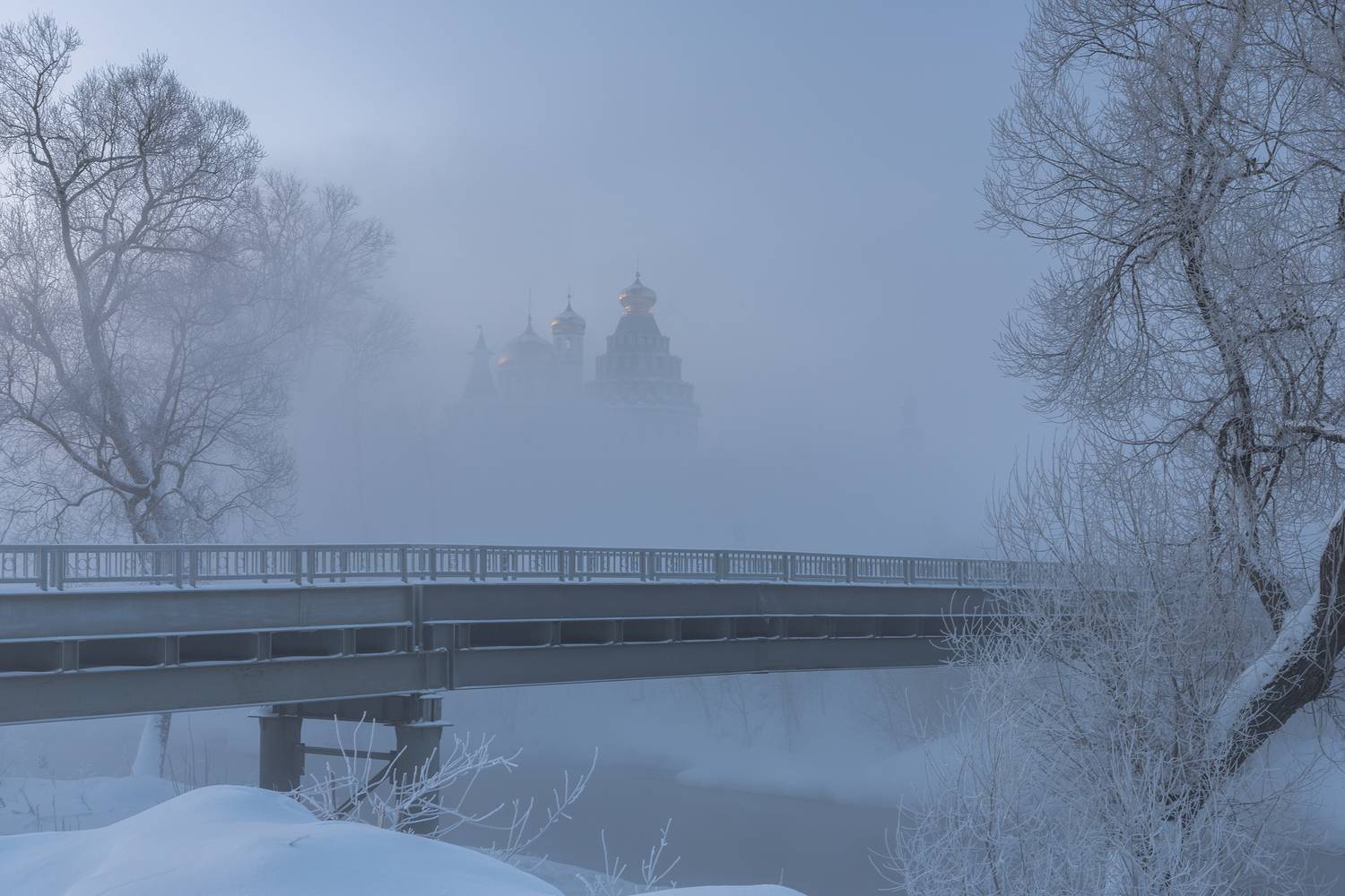 Истра, Гусева Елена