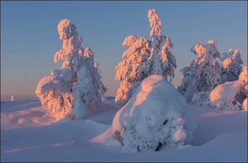 Сочный вечер фото превью