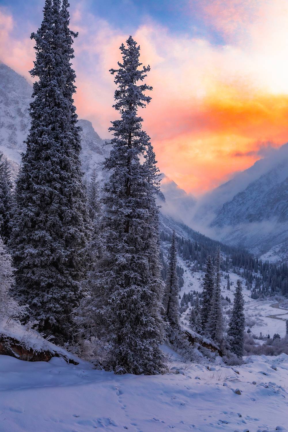кыргызстан, ала-арча, Элина Магалимова