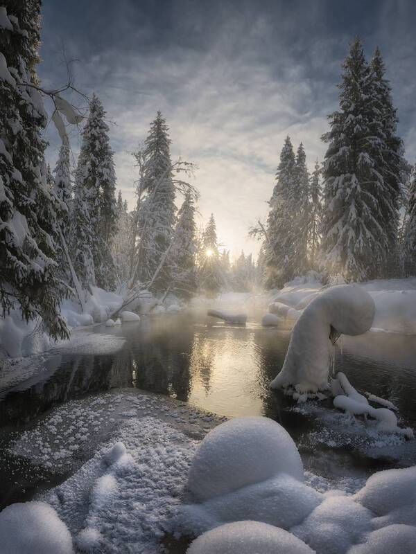 Купаясь в солнечных лучах фото превью