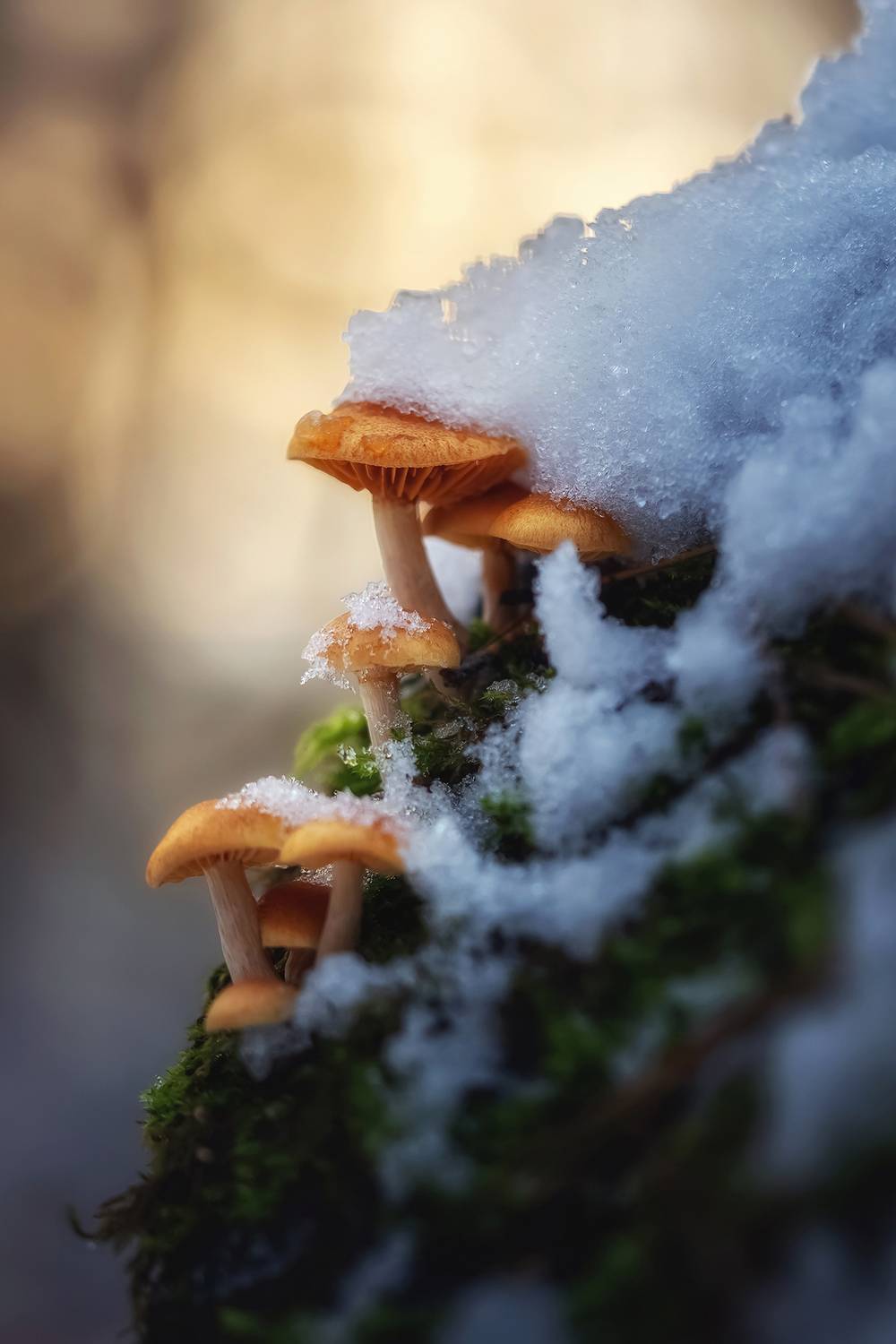 , Людмила Завьялова