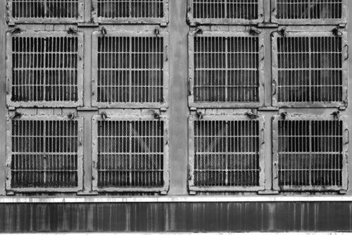 Порядок в клетке