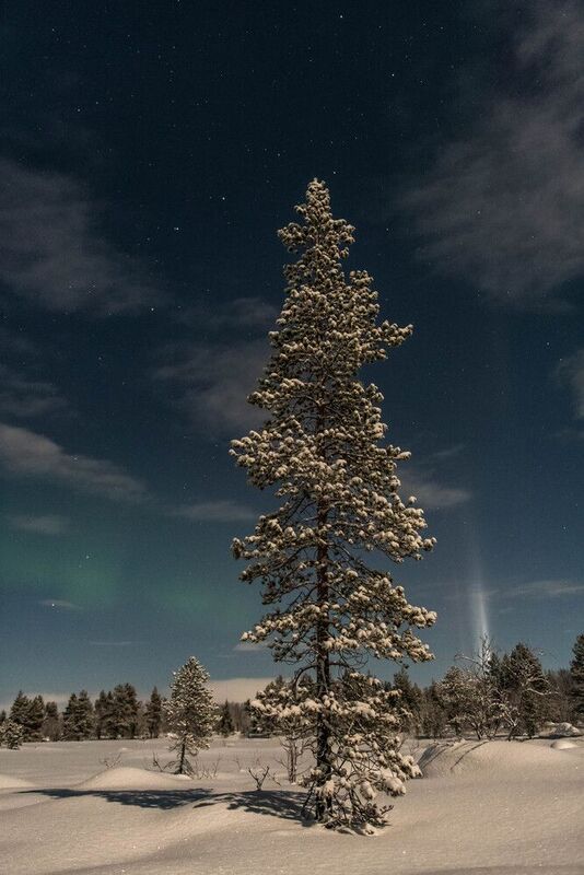 На Севере диком фото превью