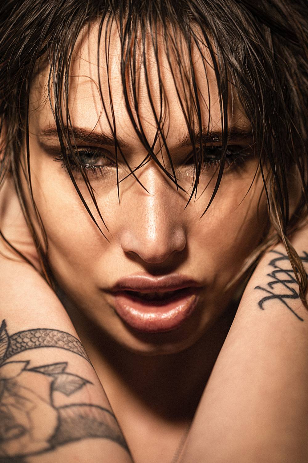 третьяковъ ню эротика, Роман Третьяков