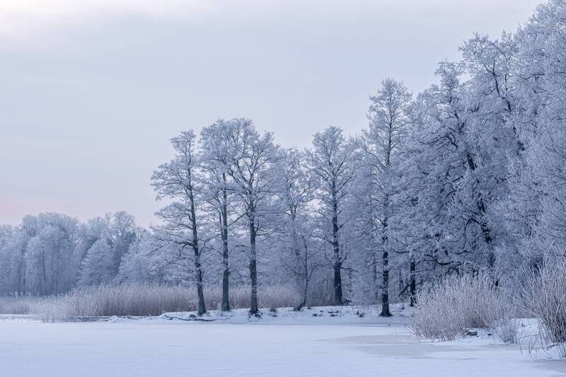 Январь. Мороз фото превью