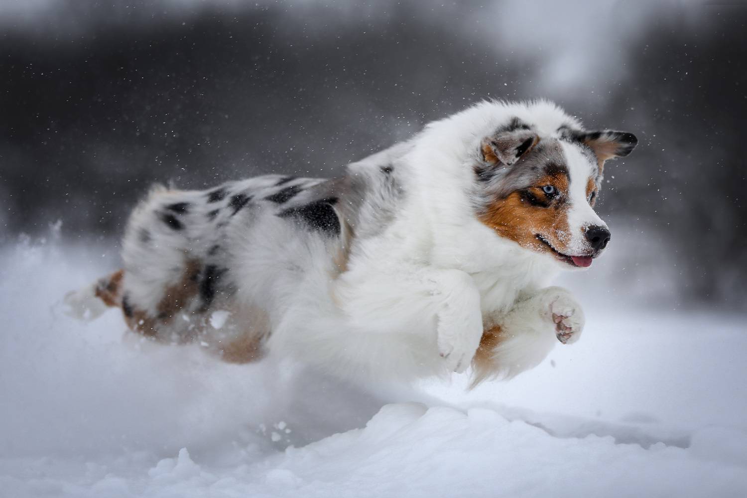 , Андрей Ершов