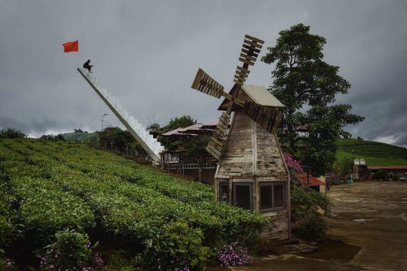 Вьетнам провинция_май_чау путешествие_по_вьетнаму В шаге от светлого будущего фото превью