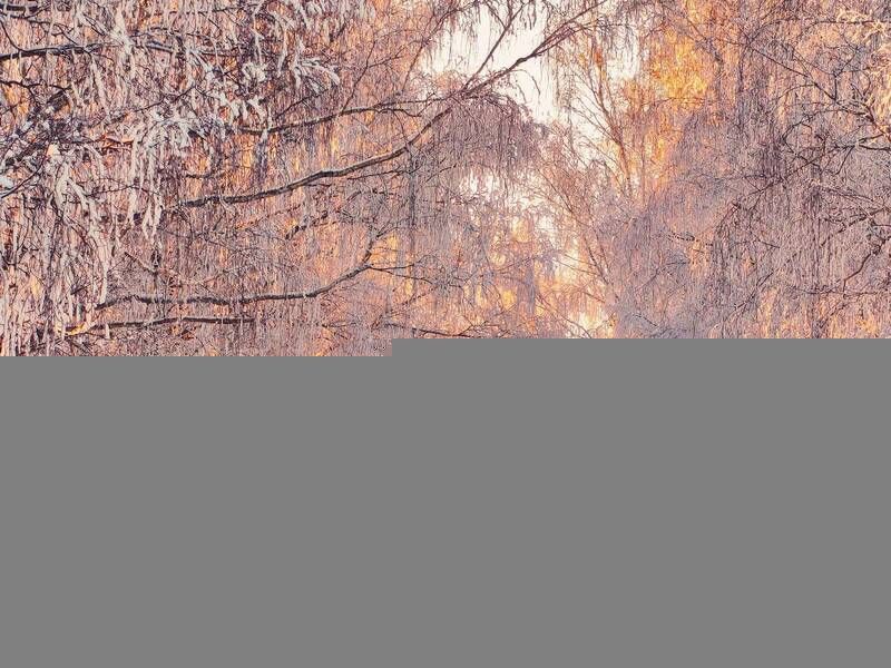 Вечерняя зимняя дорога фото превью