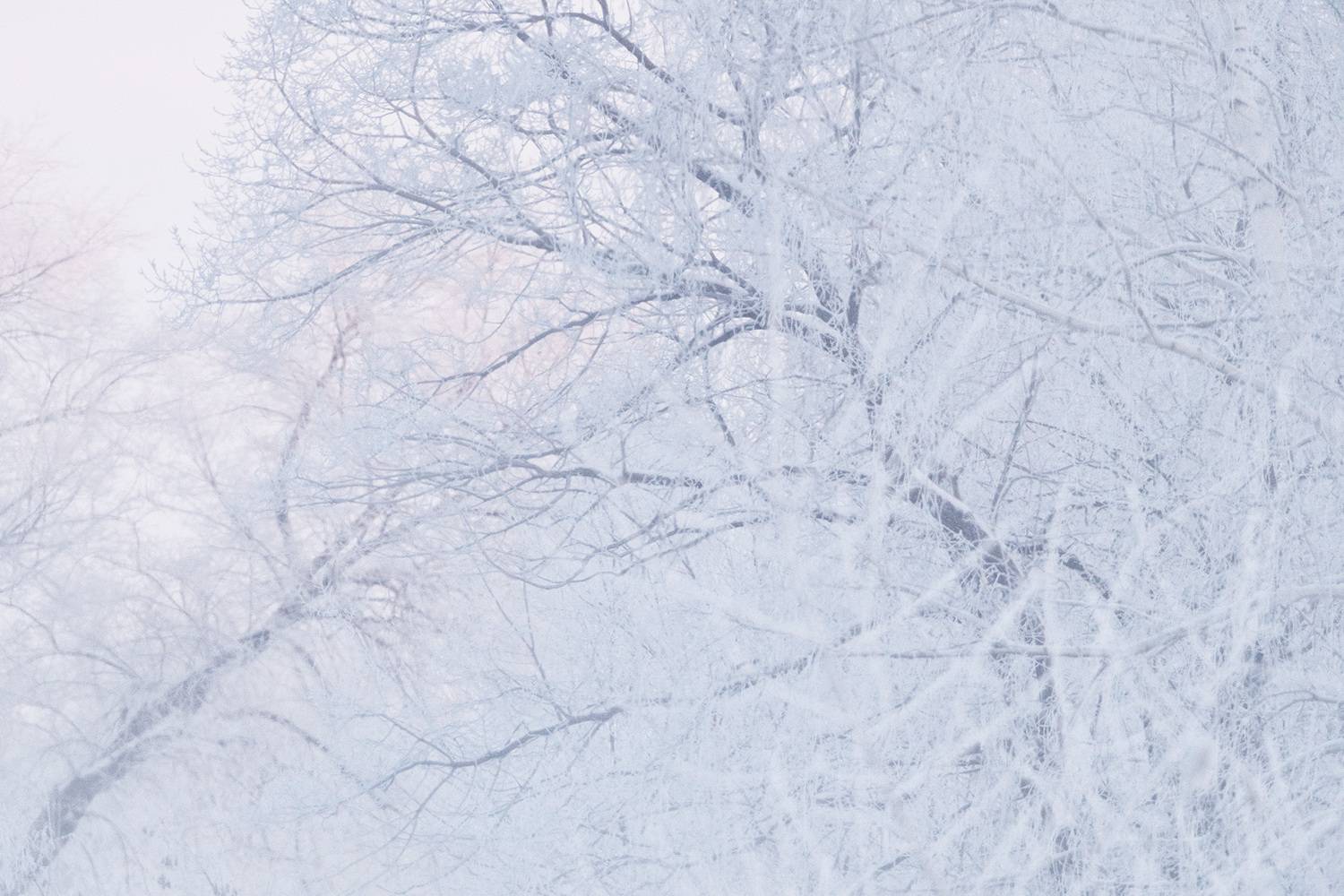 , Бодрягин Виталий