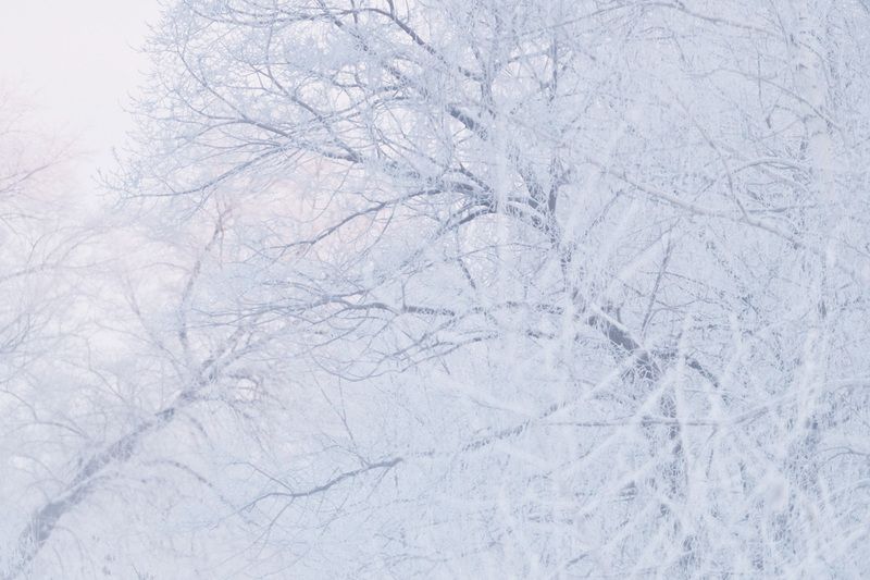 Касание зимы фото превью