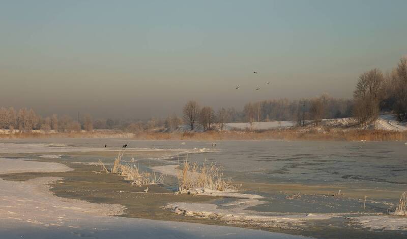 Maigo toņu palete фото превью