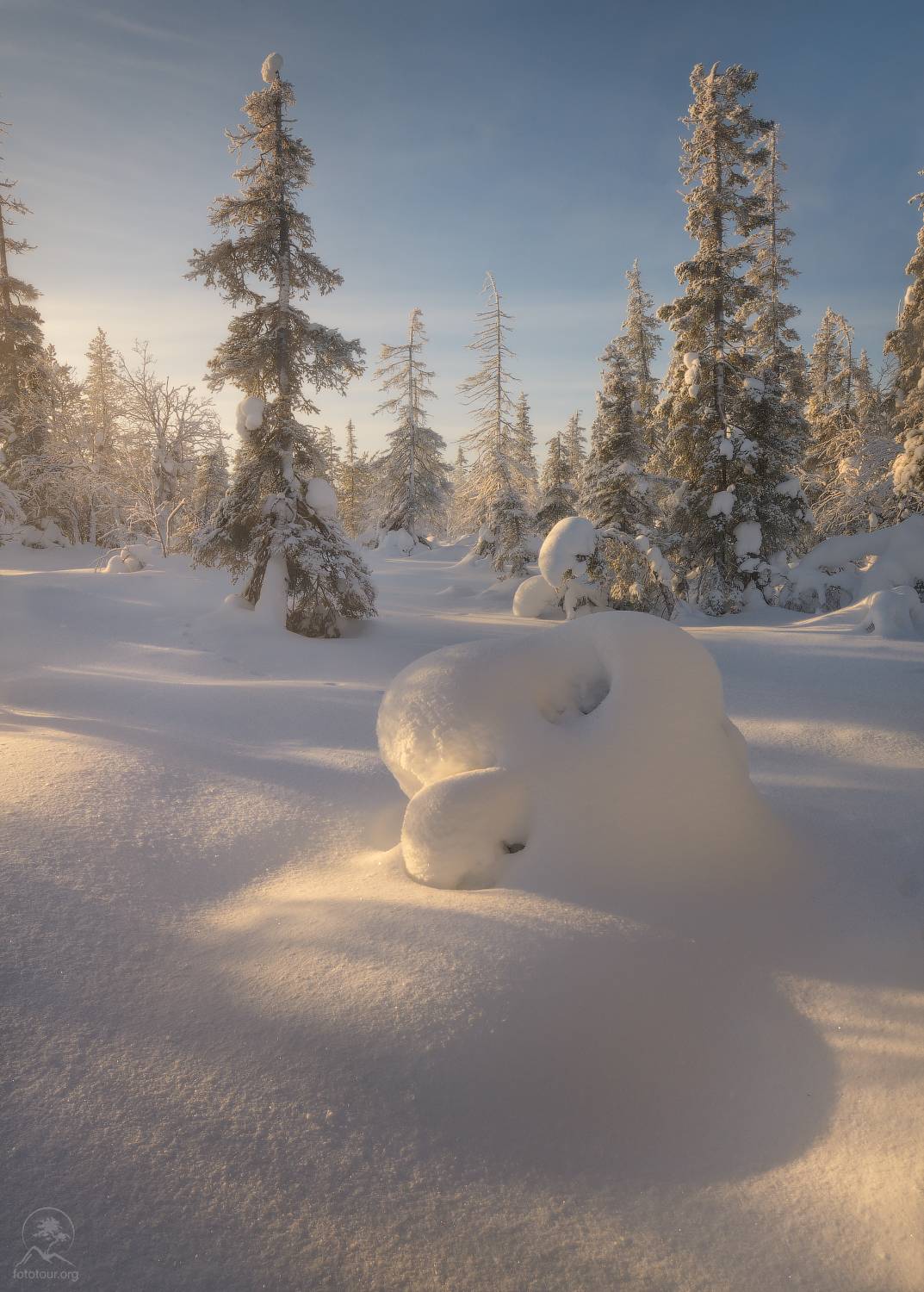 кольский, зима, фототур на кольский, мурманская область, зимний лес, зимний кольский, заполярье, извините что без стеккинга, Гордиенко Анатолий