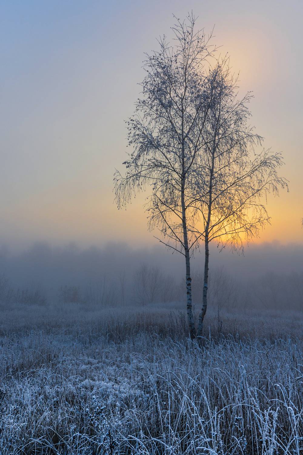 , Владимир Штыриков