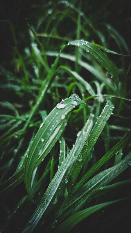 rainy january фото превью