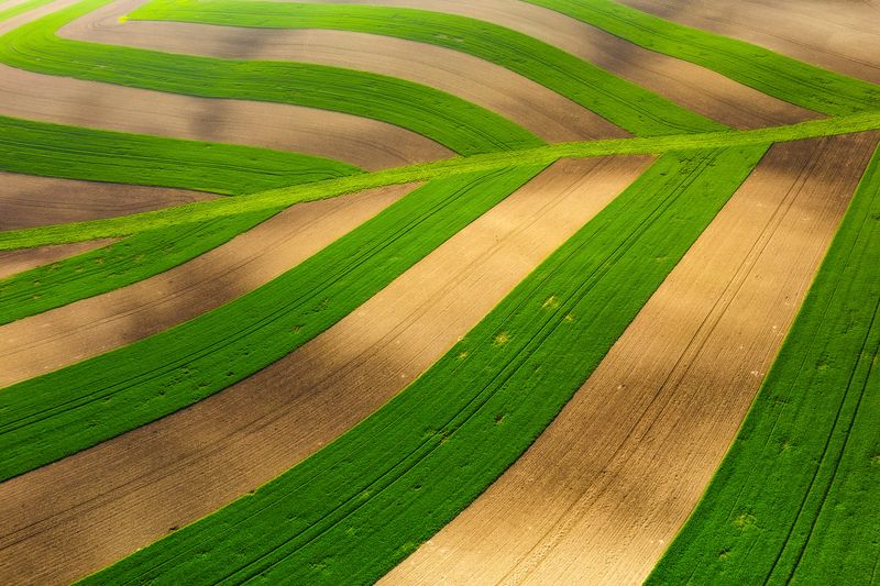 Leaf фото превью