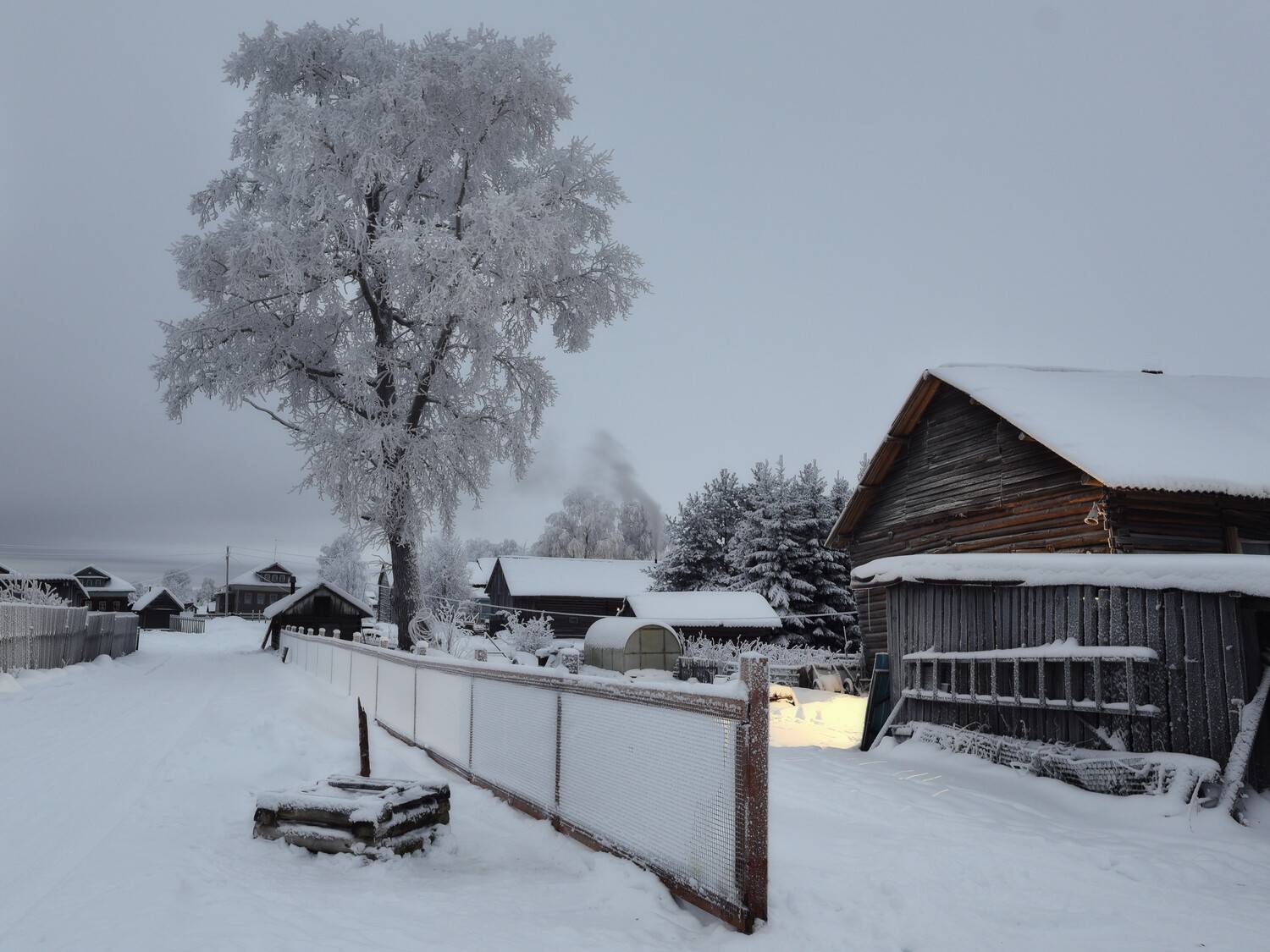 , Александр Титов