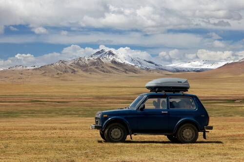 Нива в Монголии