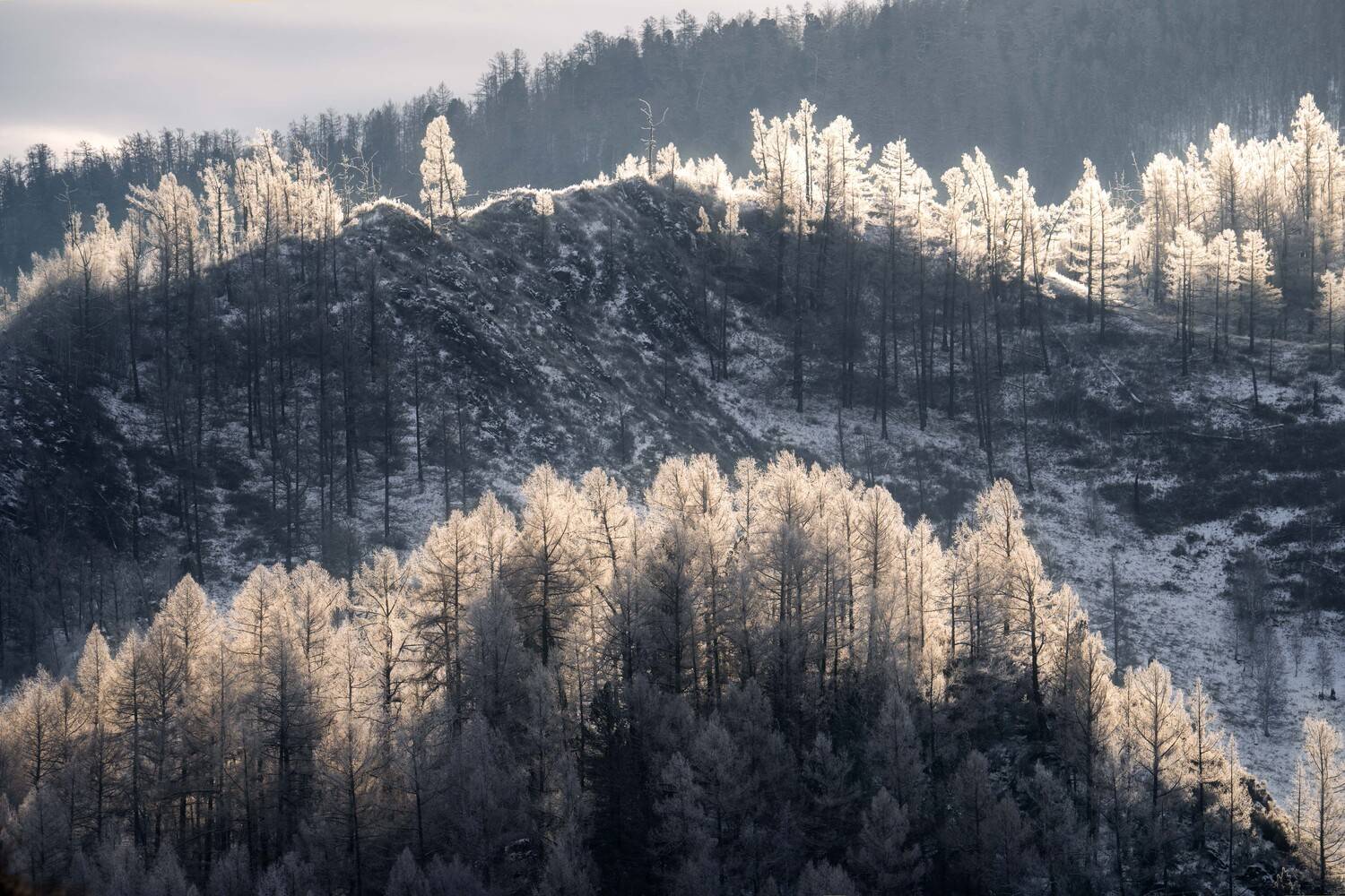 , Важенин Евгений