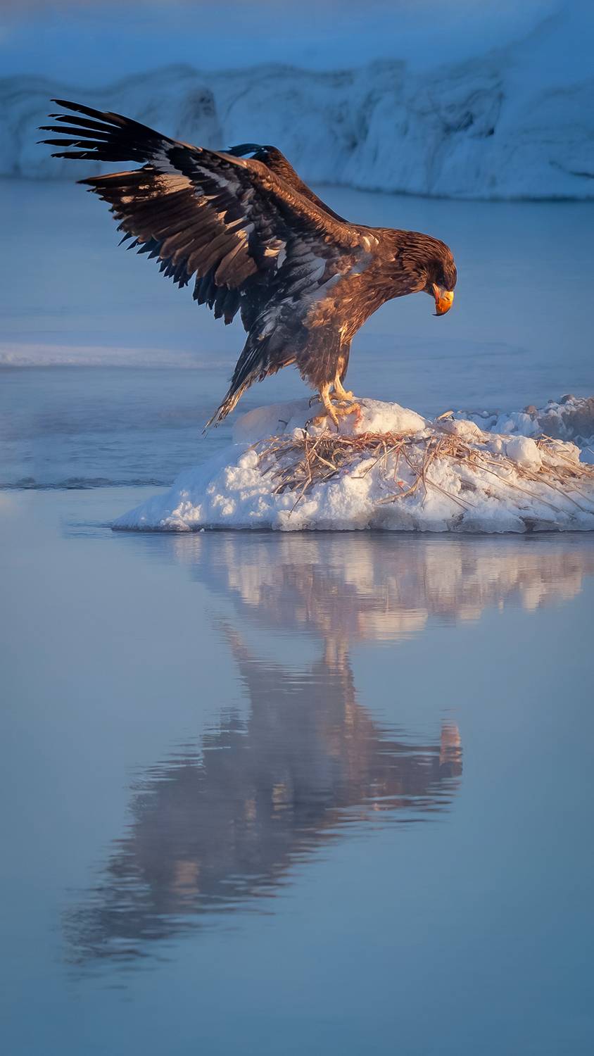 Камчатка, Будьков Денис