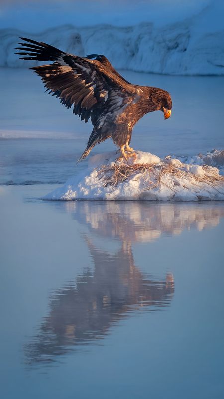 Камчатка  фото превью