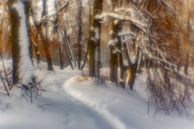 Прогулка фото превью