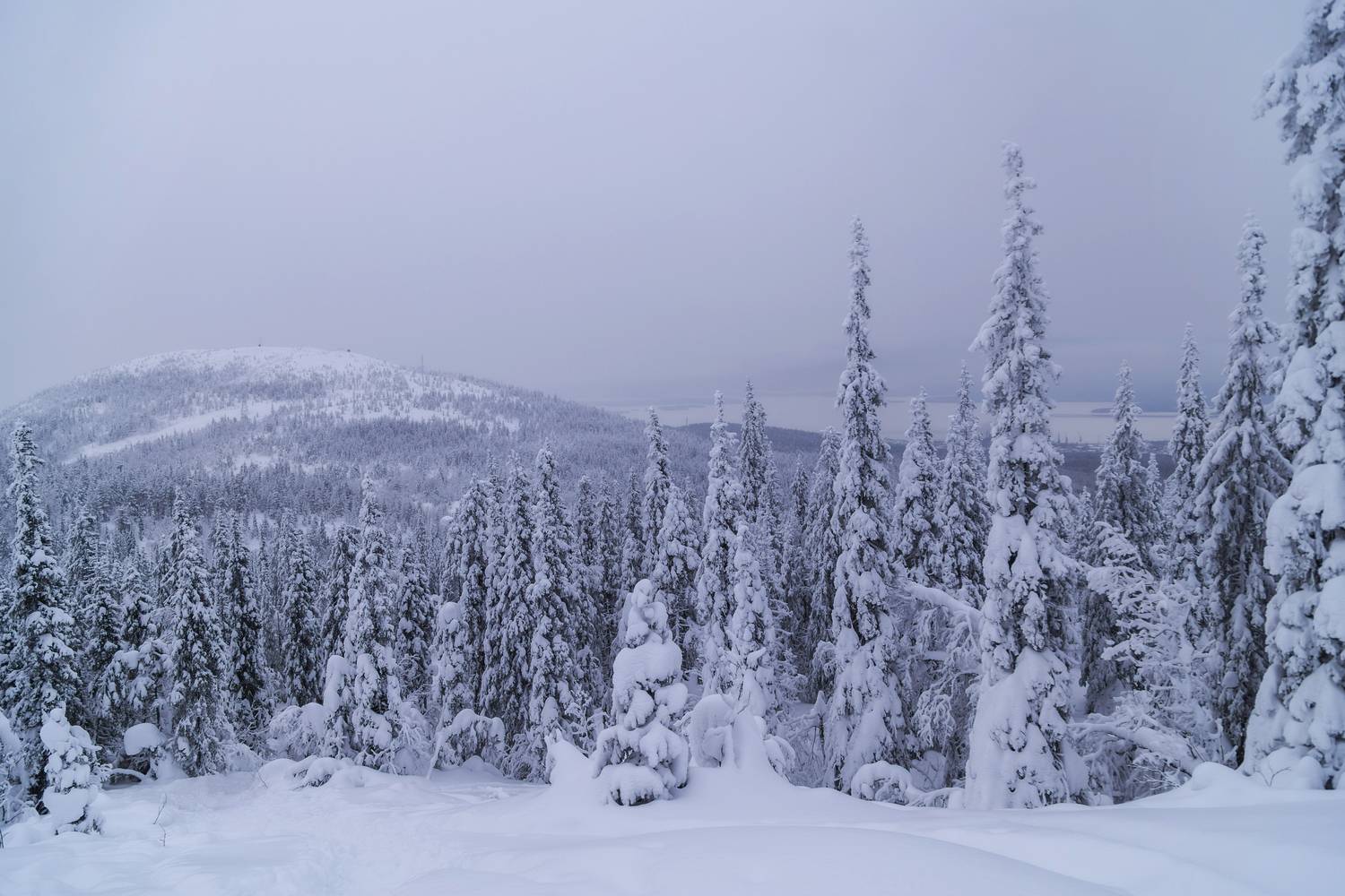 Мурманская область, Кольский полуостров, Кандалакша, Волосяная сопка, Татьяна Кормашова