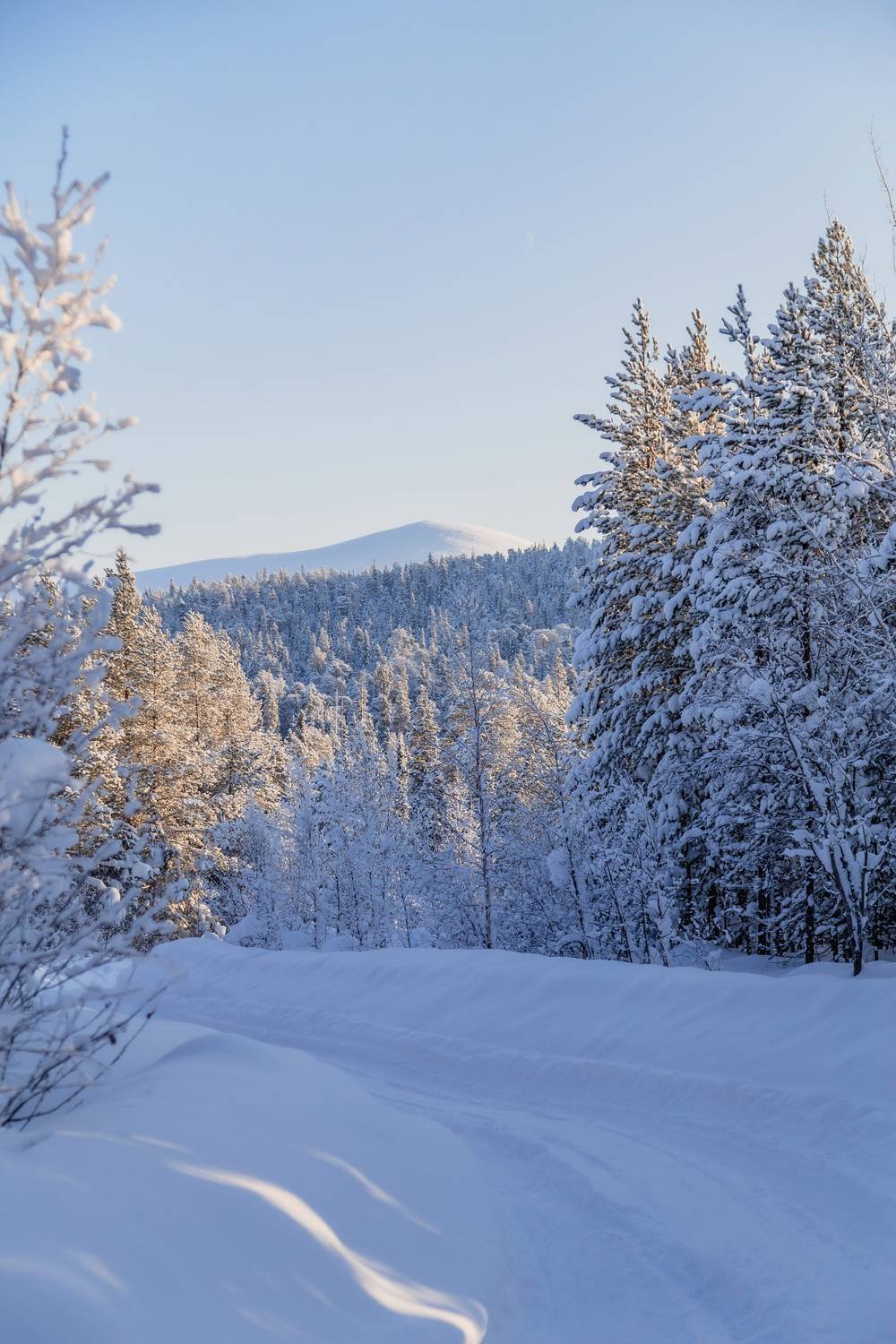 Мурманская область, Кольский полуостров, Кандалакша, Волосяная сопка, Татьяна Кормашова