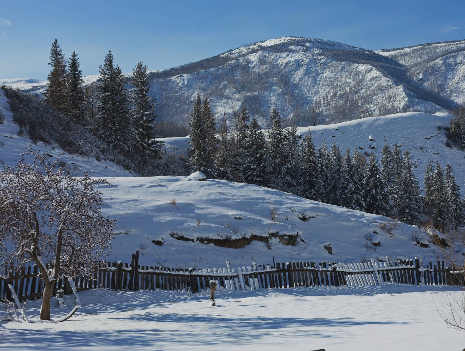 , Игорь Щербаков