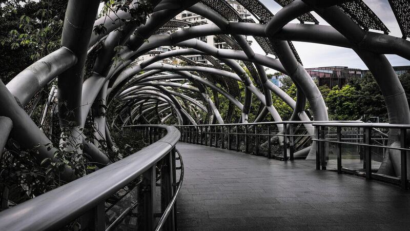 #Botany #Branch #Plant #Architecture #Wood #Black-and-white #Grass #Bridge #Tree #Tints and shades Walking Bridge фото превью