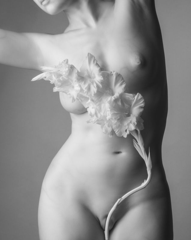 гладиолус, ню, ботаника, инфракрасное фото Gladiolus. Nude Botanica фото превью