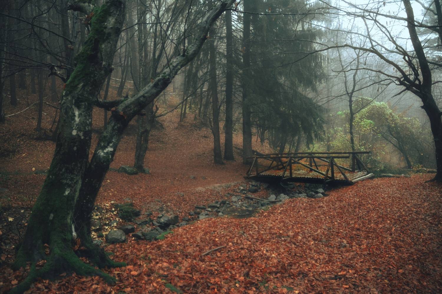 , Юлияна Стоянова