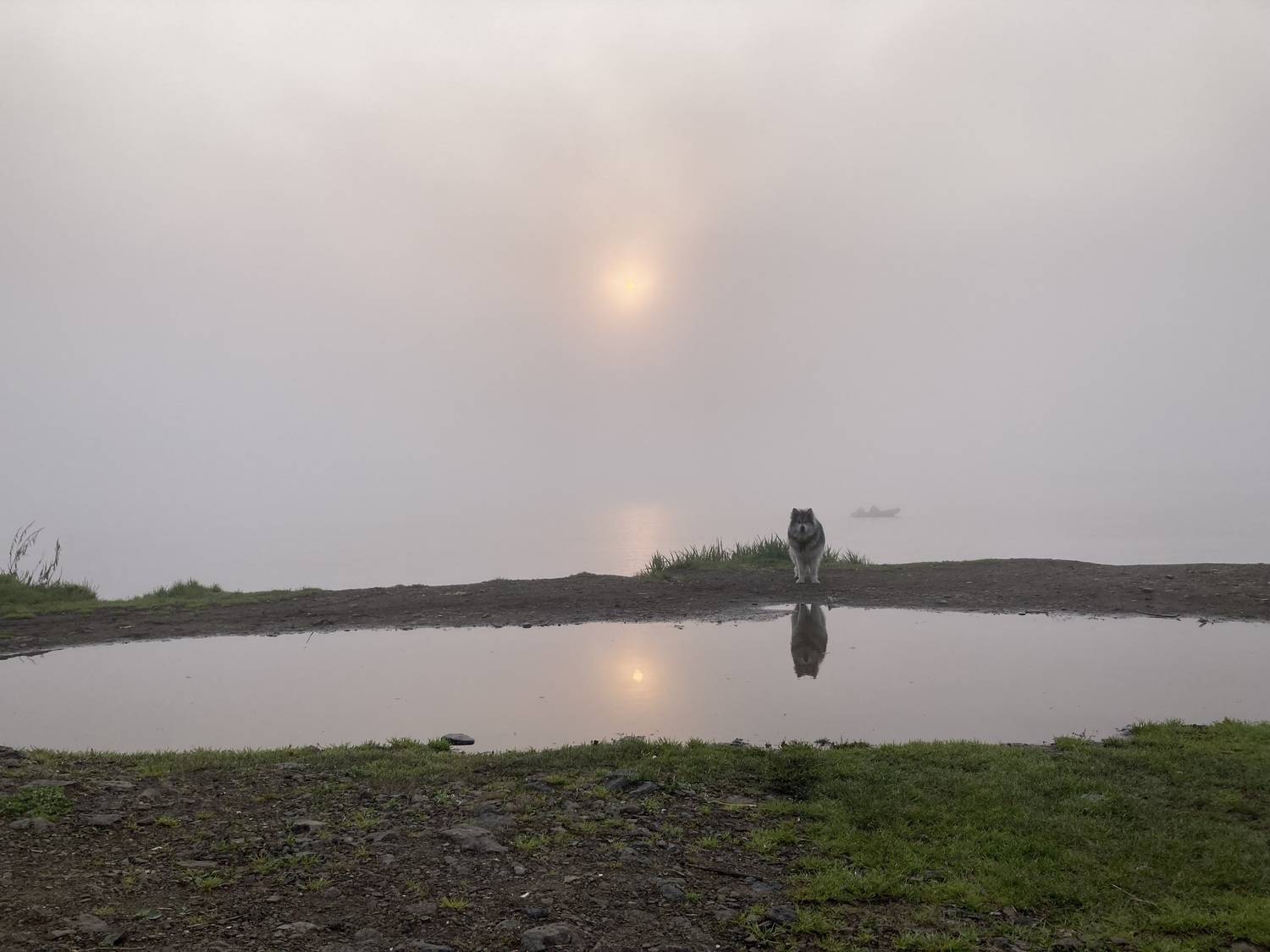 хабаровский край, бухта сизиман, Савчук Сергей