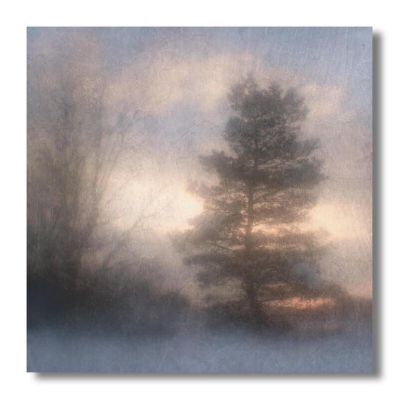 пикториализм, монокль, арт фотография, художественная фотография, пикториальный пейзаж, пикториальная фотография, русский пикториализм, современный пикториализм Сосна на закате, январь 2026. фото превью