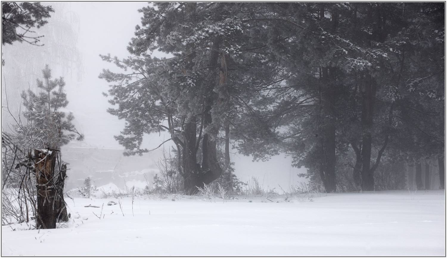 , Владимир Краснов