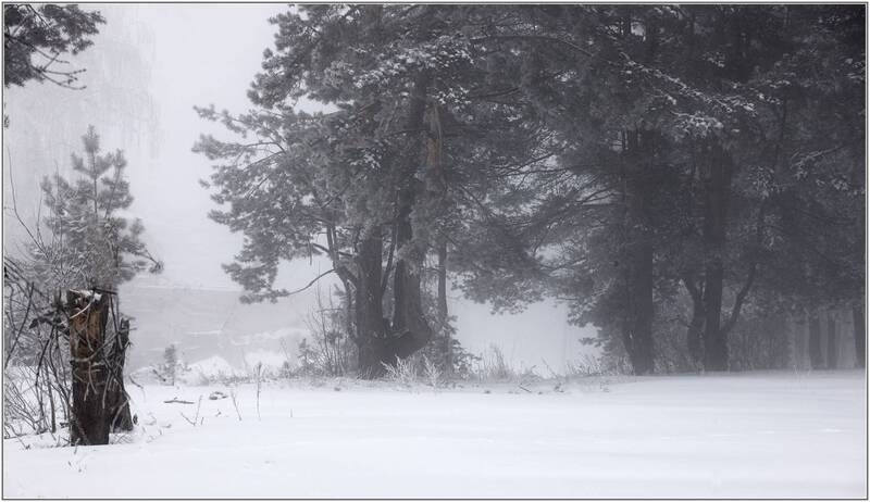 ***** фото превью