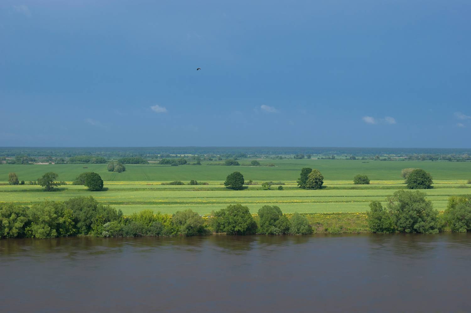 река, ока, Колеснева Елена