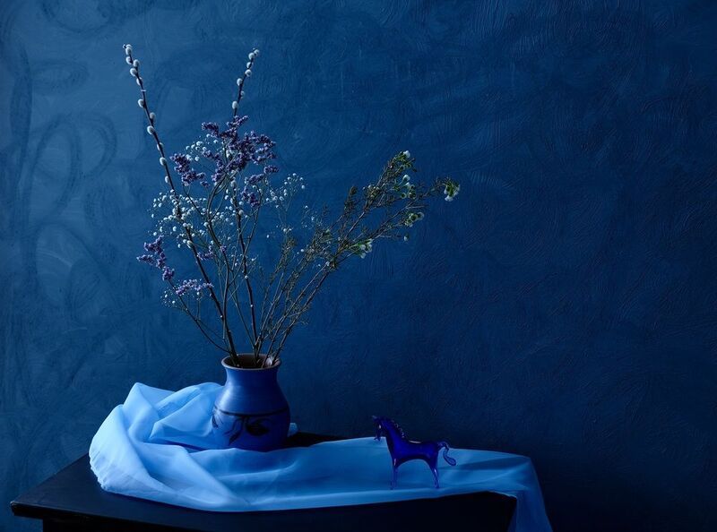 Still life, Horse, Plant, Blue, Colors, Mood, Colors,  Голубое фото превью