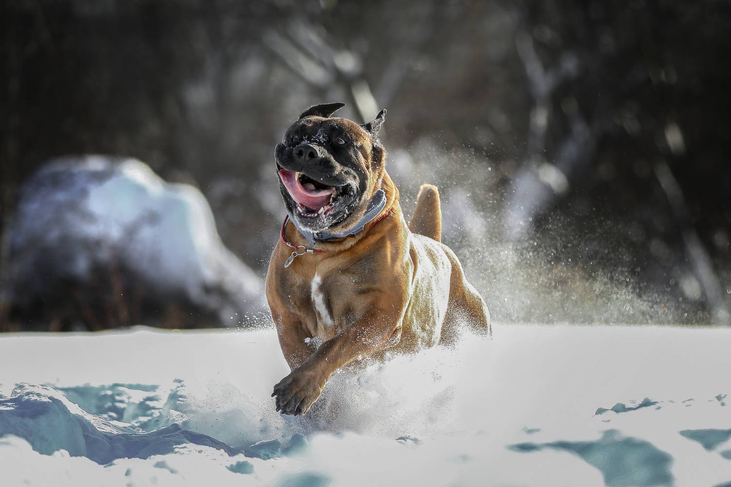 , Андрей Ершов