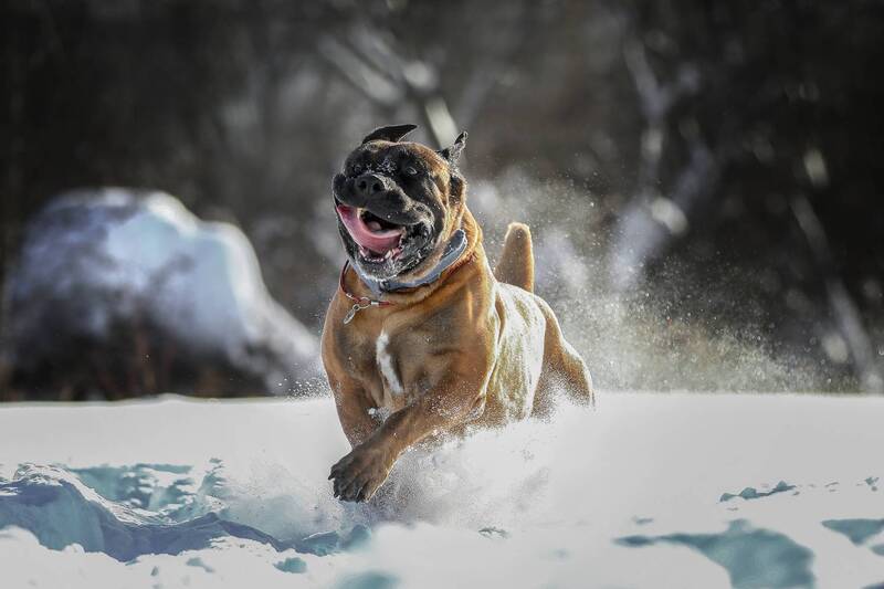 ..... фото превью