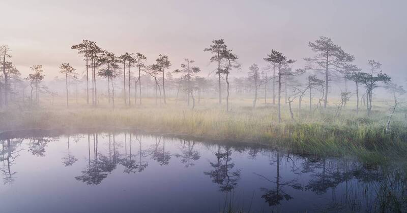 Утро, которое не спешит фото превью