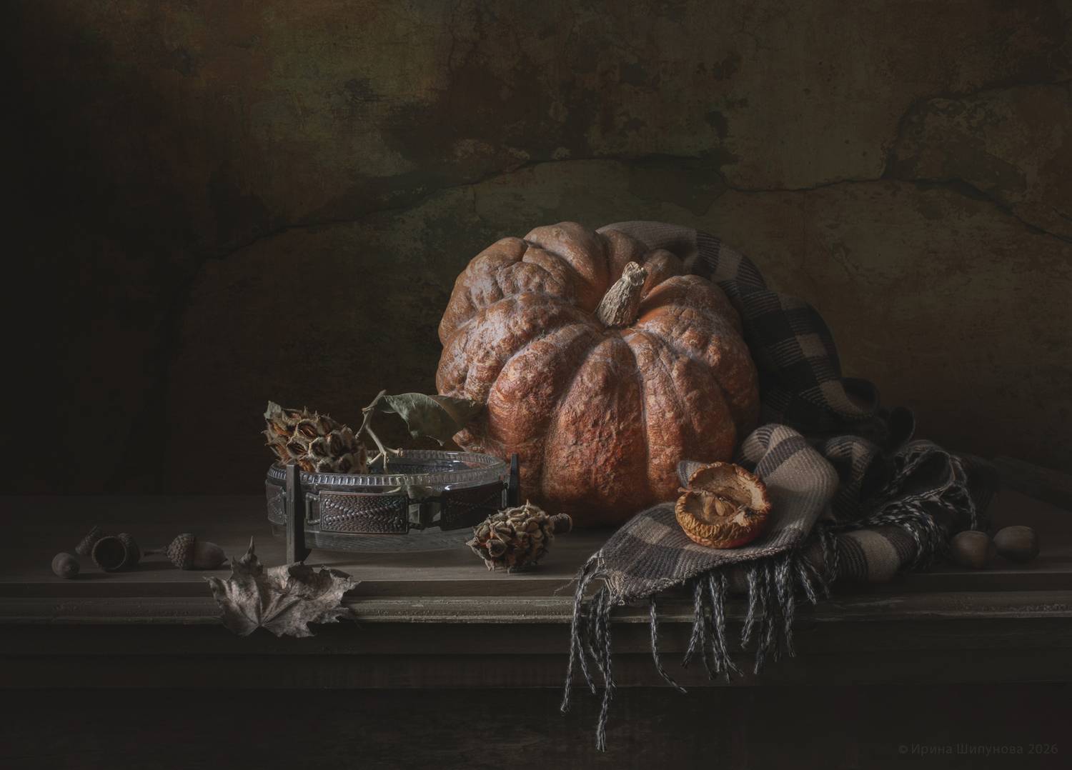 , Шипунова Ирина