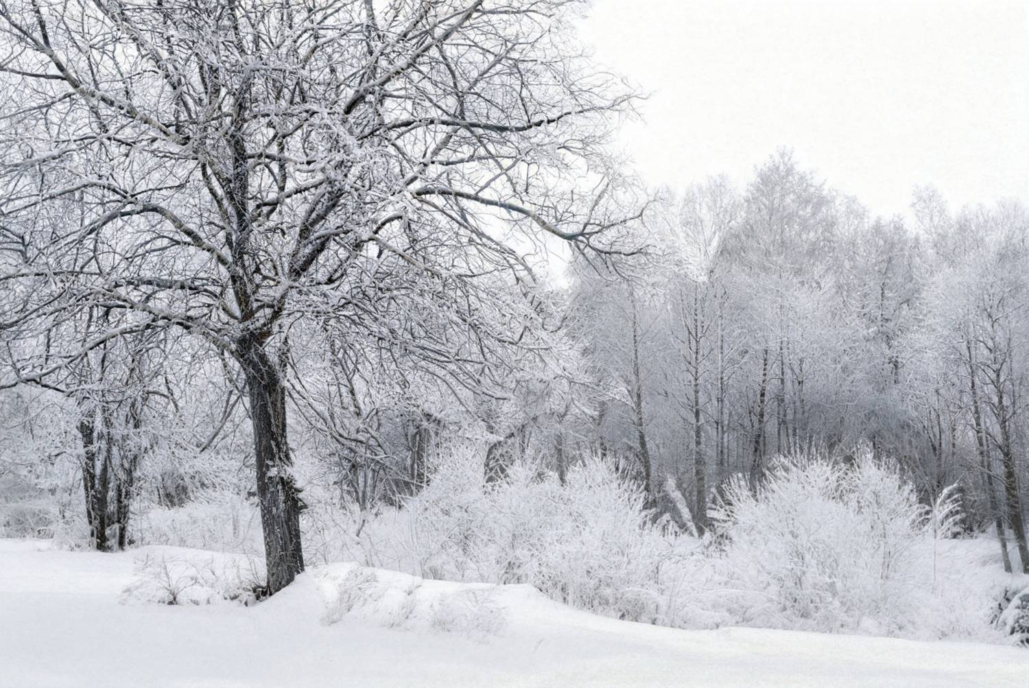 пейзаж, урал, зима, снег, иней, Евгений Гецев