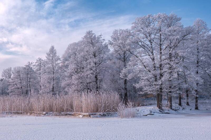 Январь. Мороз фото превью