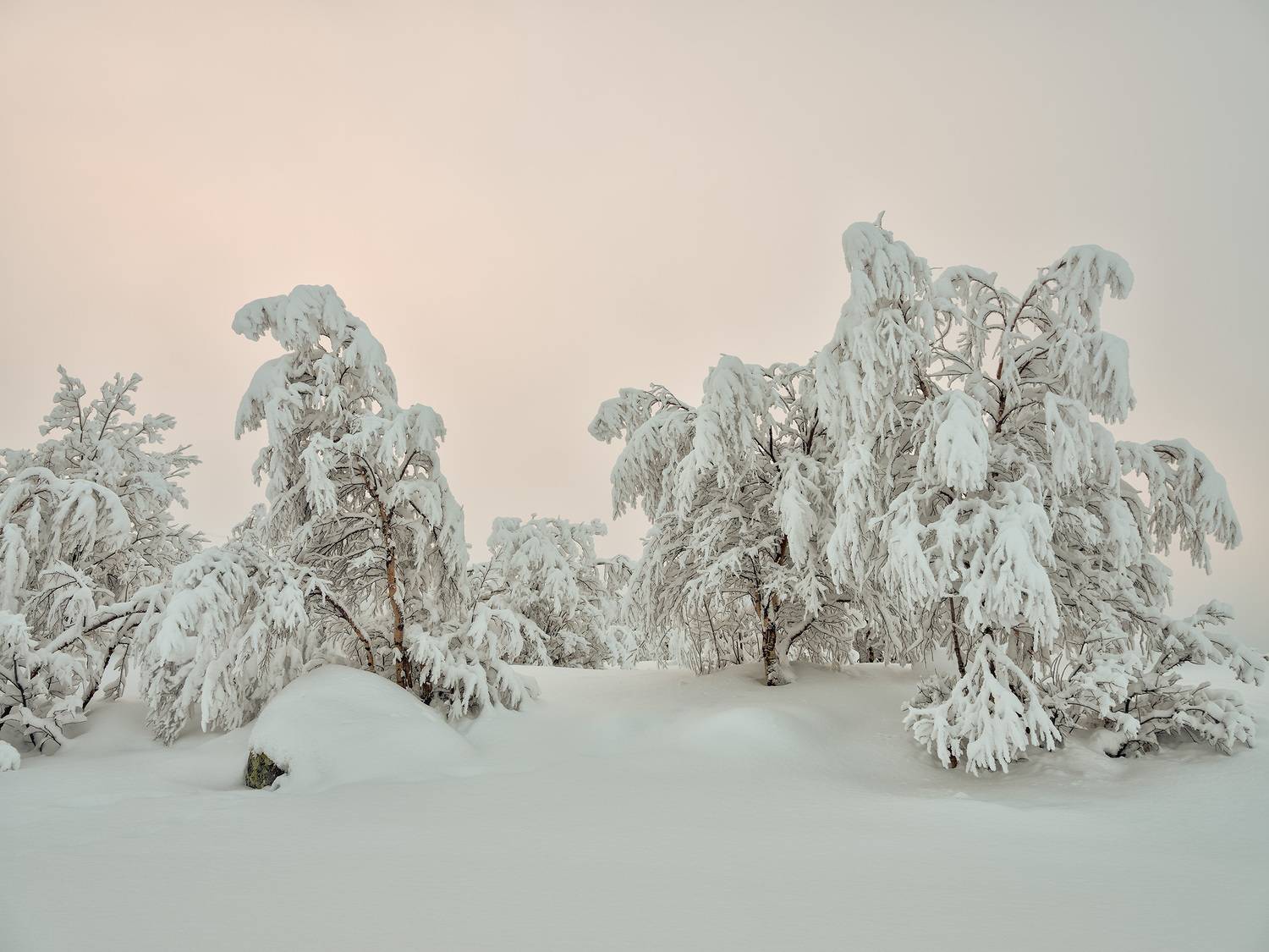 , Ворошилов Александр